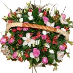 Валенсия